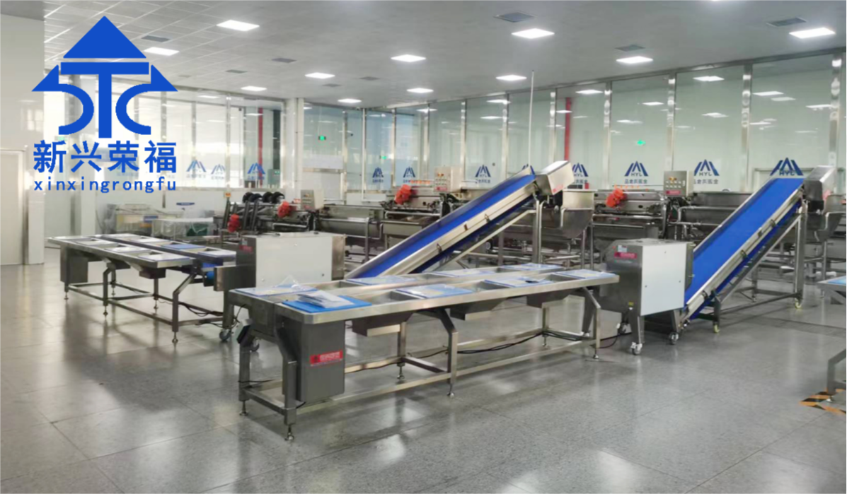 日供蔬菜20噸，新興榮福承建凈菜加工項(xiàng)目完成驗(yàn)收
